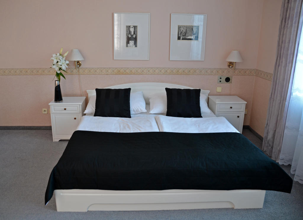 Hotel Havel Rychnov nad Kneznou Habitación foto